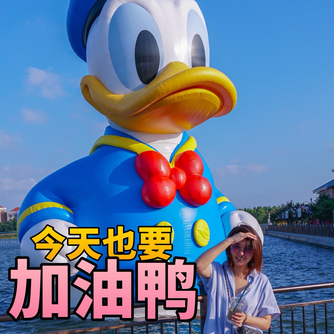 donald duck is watching u,表情包界新宠加油鸭!