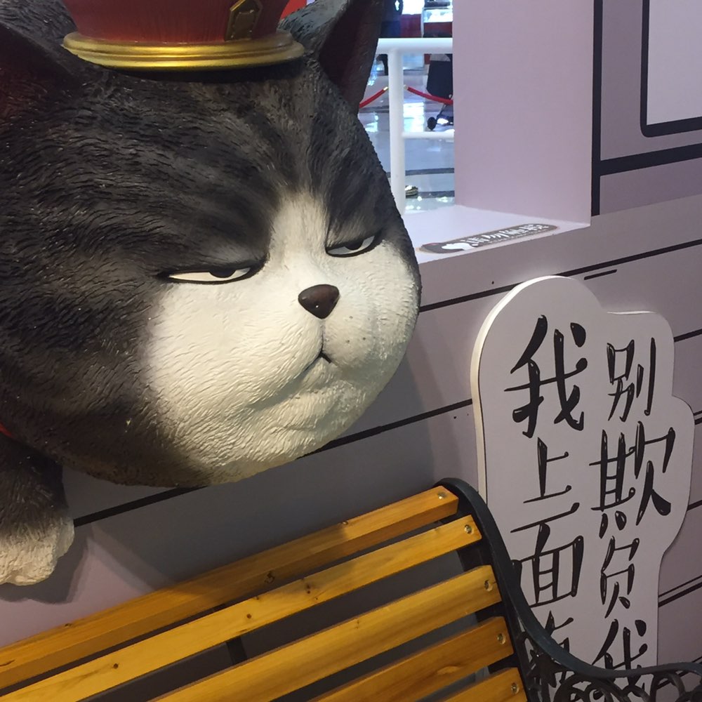 别欺负我 我上面有猫